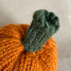 

Mini-pompoen - Kleine sierpompoenen
4