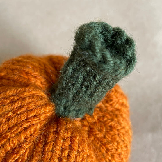 

Mini-pompoen - Kleine sierpompoenen
4