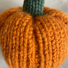 

Mini-pompoen - Kleine sierpompoenen
5