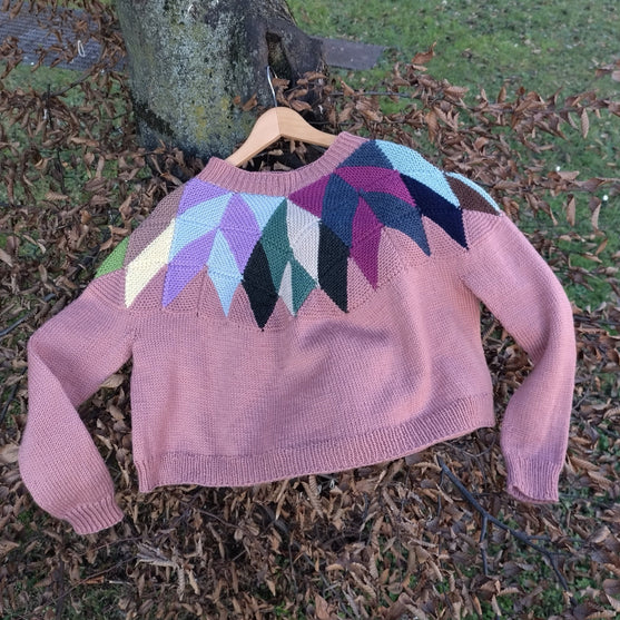

Intarsia - Trui
1