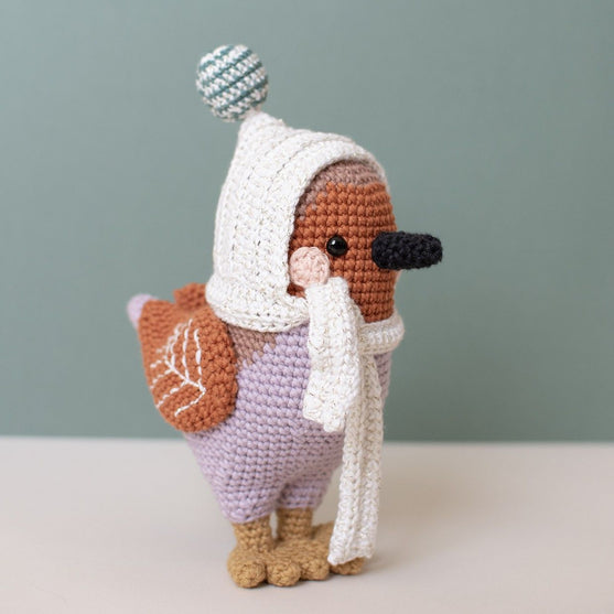 

3e adventszondag - Amigurumi - Grayson Robin
2