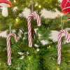

Zuurstok - Kerstdecoratie
2
