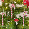 

Zuurstok - Kerstdecoratie
3
