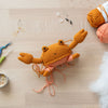

Rachele de Krab
4