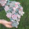 

Romance - Sjaal
7