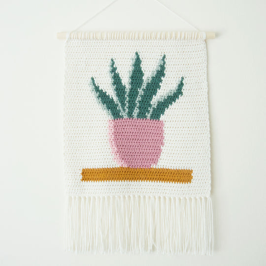 Snake Plant - Wandhanger