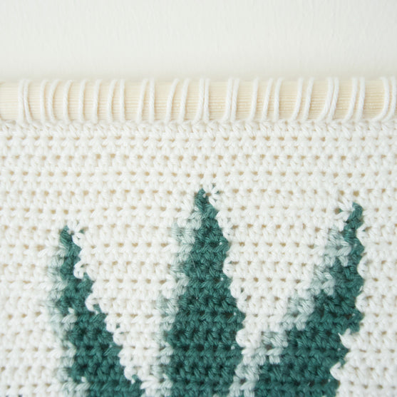 

Snake Plant - Wandhanger
3