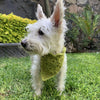 

Cuddly Wrap - Bandana voor de Hond
4