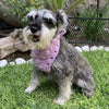 

Cuddly Wrap - Bandana voor de Hond
1