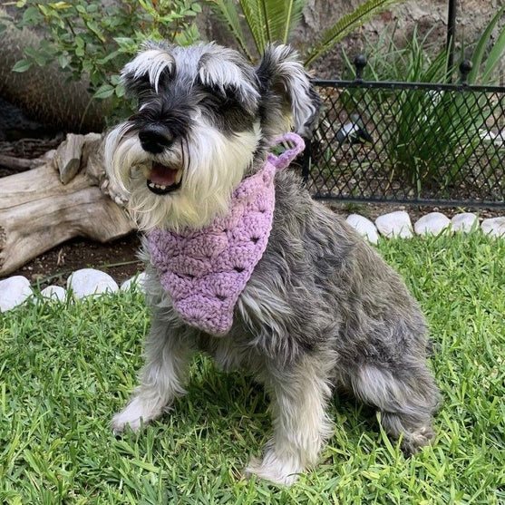 

Cuddly Wrap - Bandana voor de Hond
1