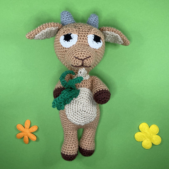 Steenbok - Sterrenbeeld