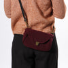 

Bellis Tas
4