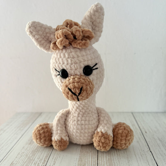 

Alice de Alpaca
3