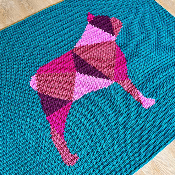 

Franse Bulldog - Plaid
1