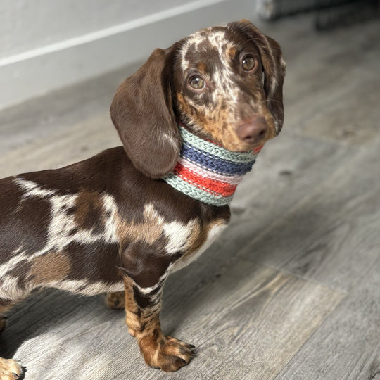 Wes - Sjaal voor de Hond