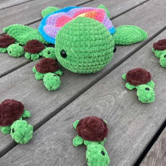 Rainbow Turtles - Memory