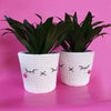 

Kawaii Lieve bloempotten
1
