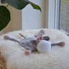 

Ezel - Knuffeldoekje
4
