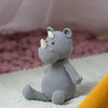 

Neushoorn Herman
1